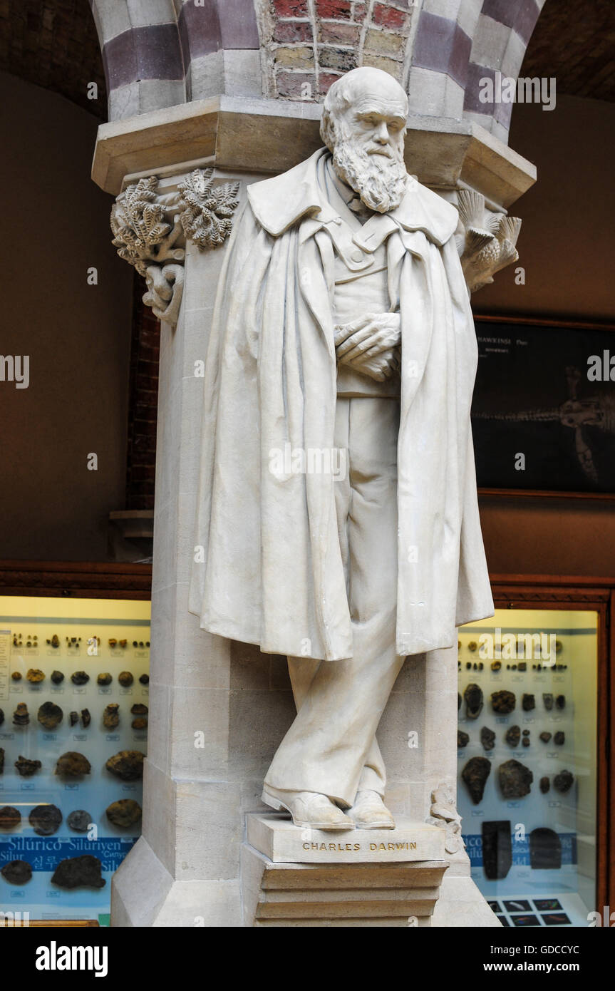 Charles Darwin evolution statue Oxford museum Natural History Stock Photo Alamy