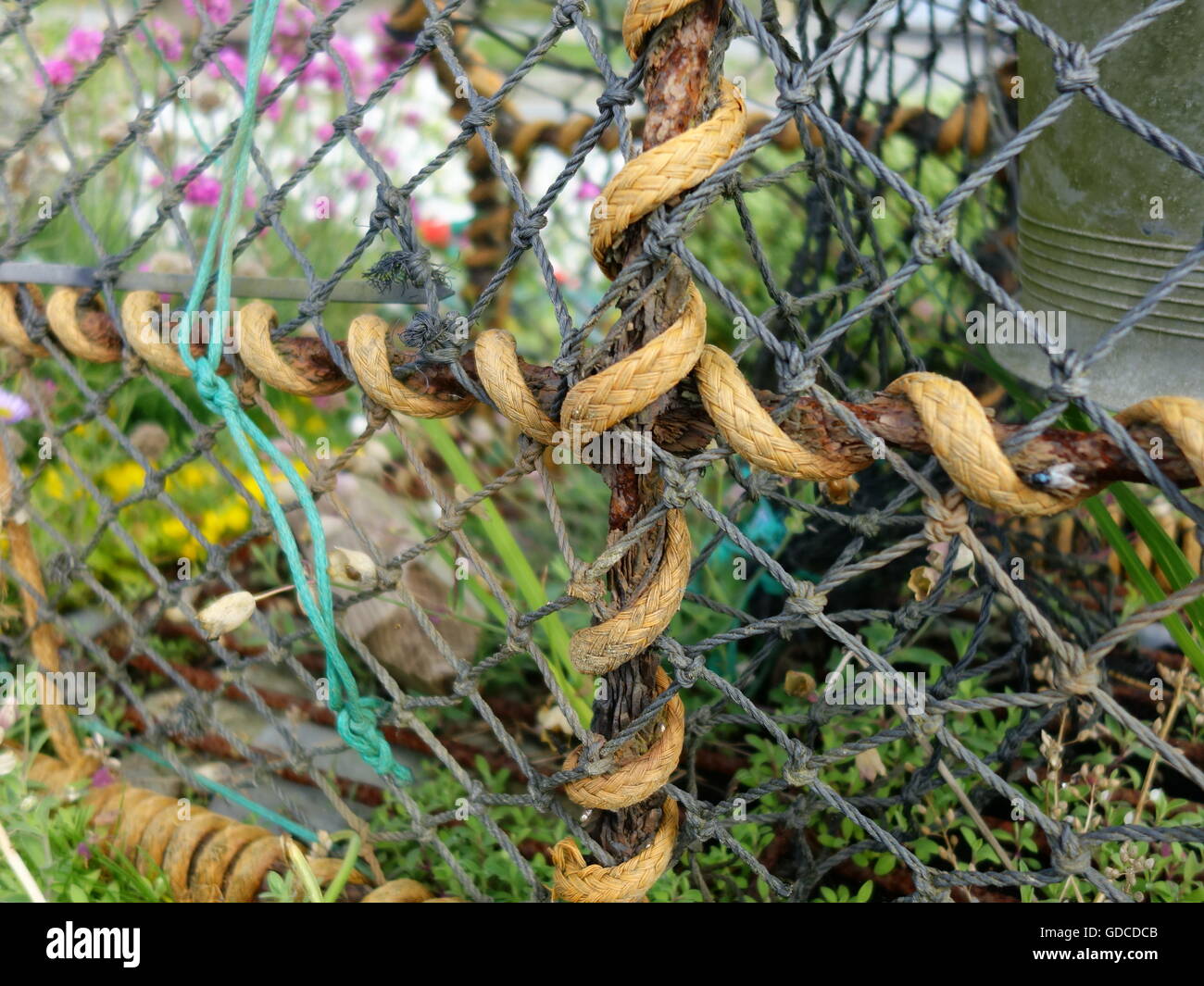 2 Twisted Ropes Assorted types of twisted ropes and knots Stock Photo - Alamy