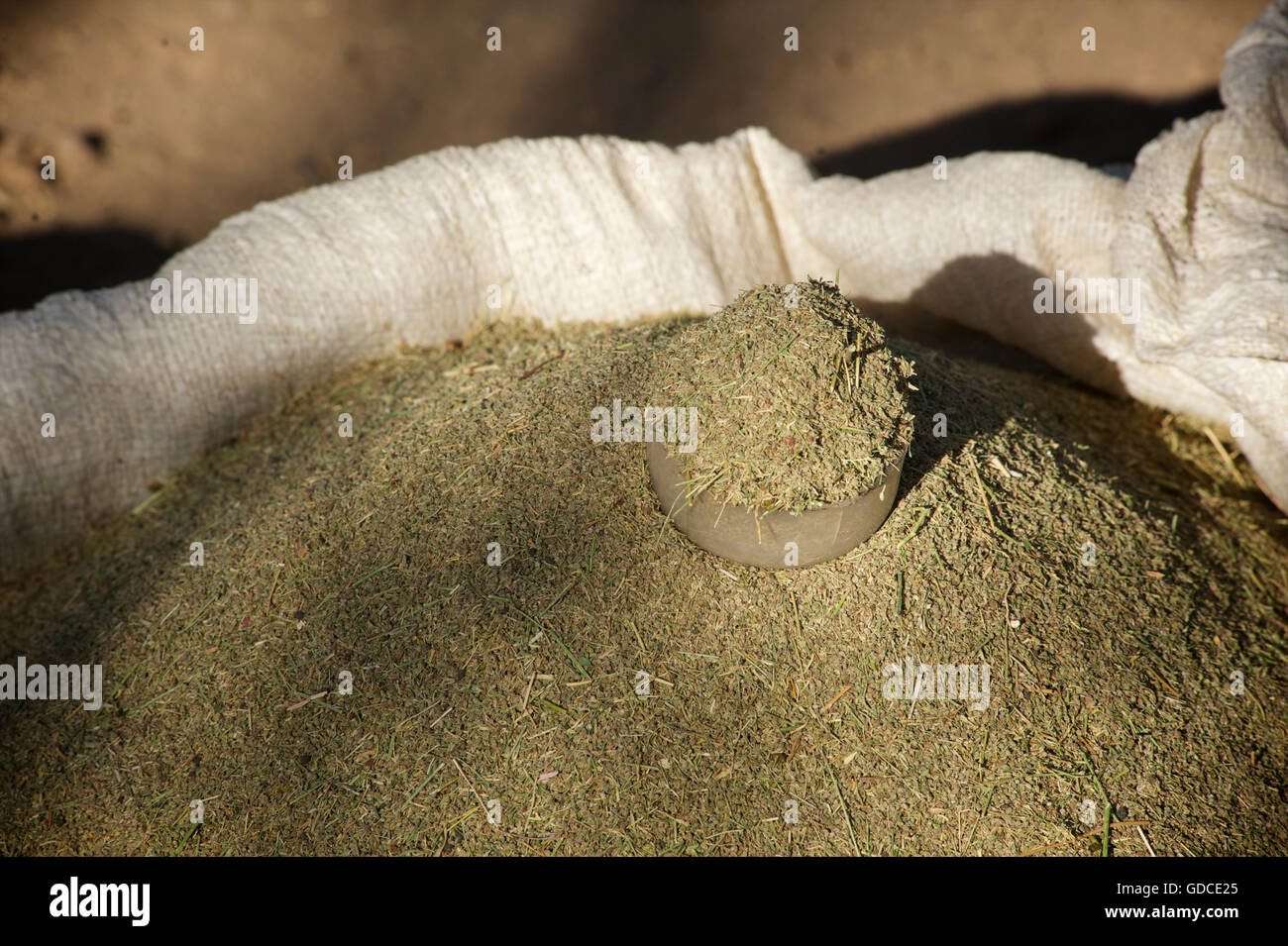 Ethiopian herbs and spices. Market day in Lalibela. Ethiopia Stock