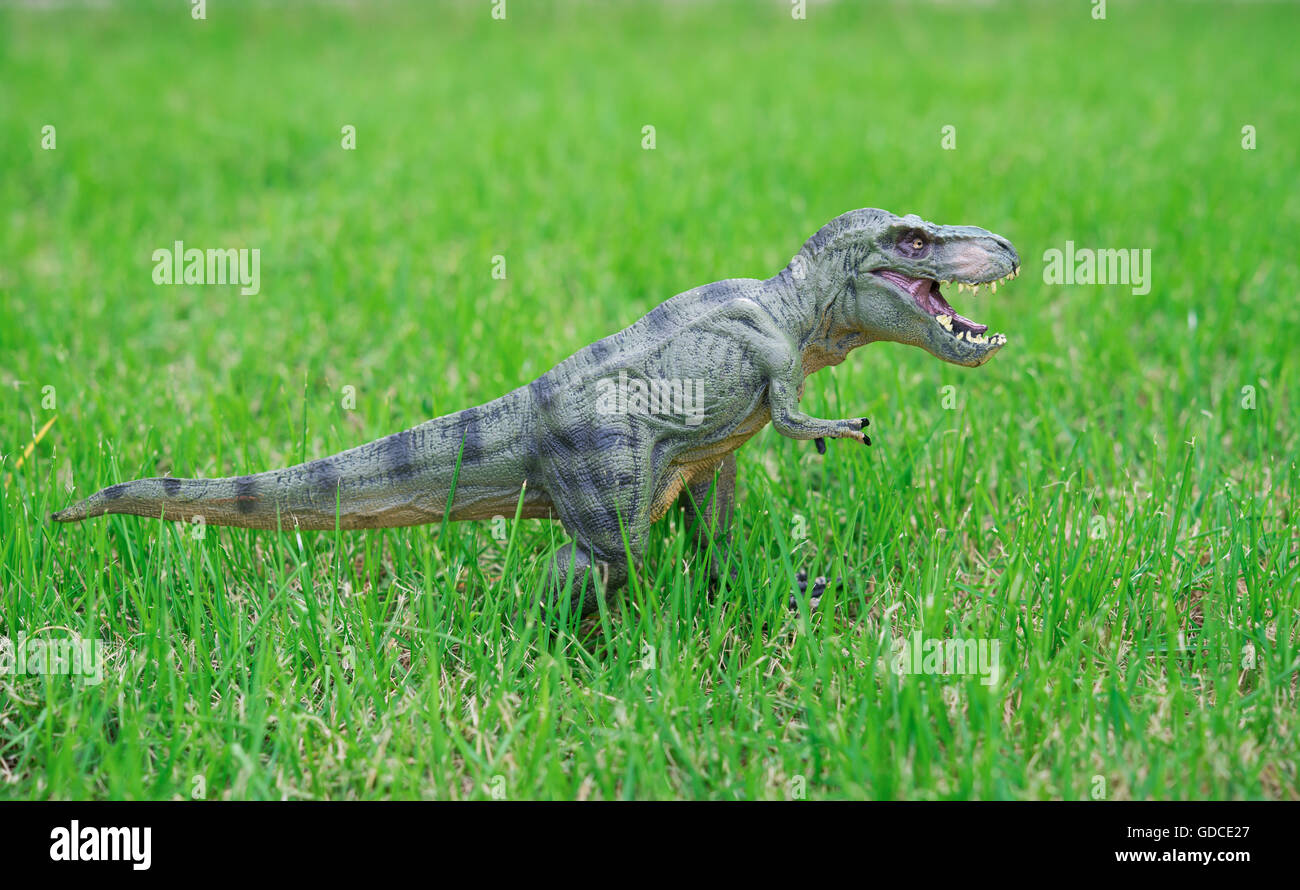 tyrannosaurus toy stands on grass Stock Photo - Alamy