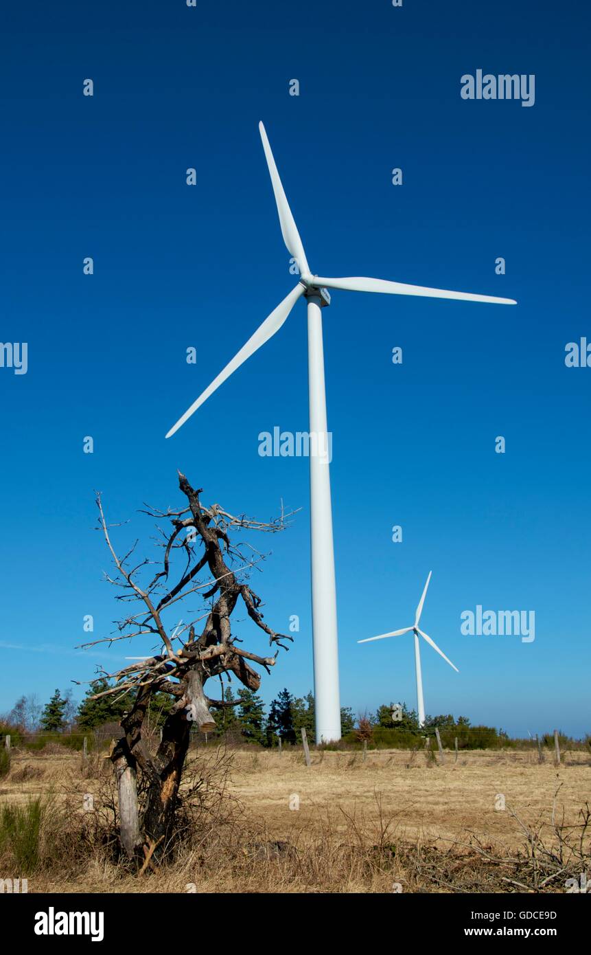 Wind turbines in Cezallier, Auvergne, France, Europe Stock Photo