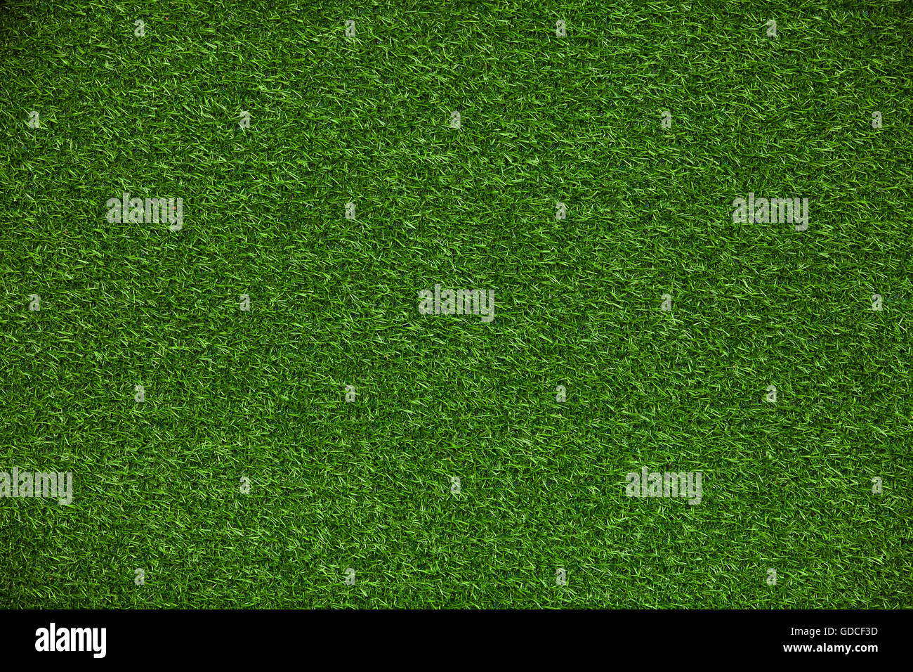 Green grass lawn Stock Photo