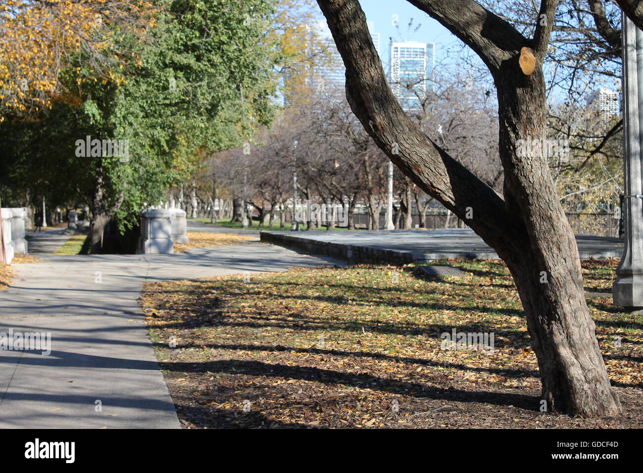 Grant Park in Chicago, IL, USA Stock Photo - Alamy