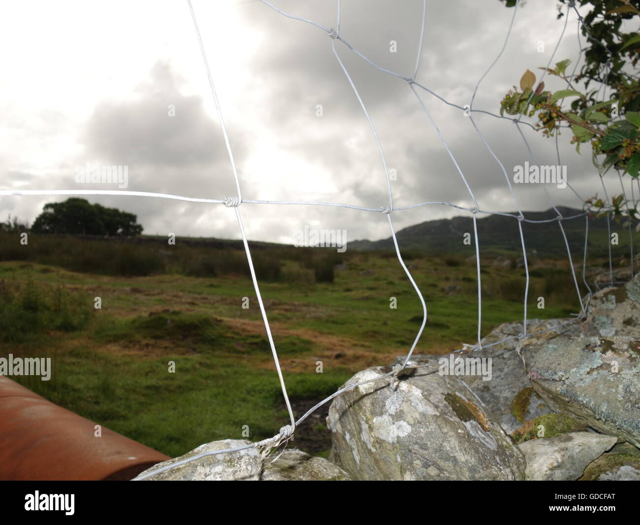 A wire fence in front of an open field Stock Photo