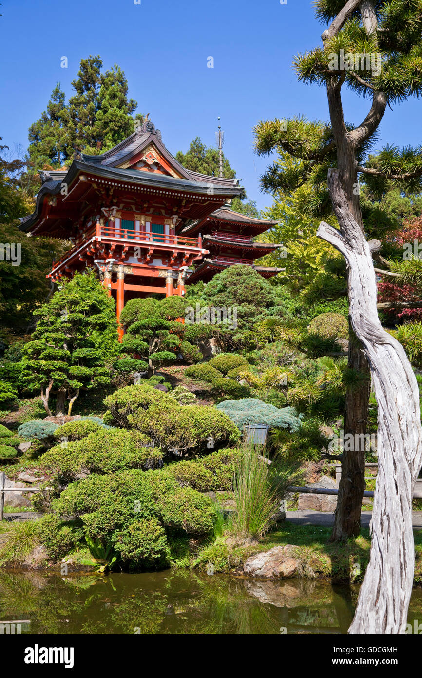 Japanese Tea Garden (San Francisco, California Stock Photo Alamy