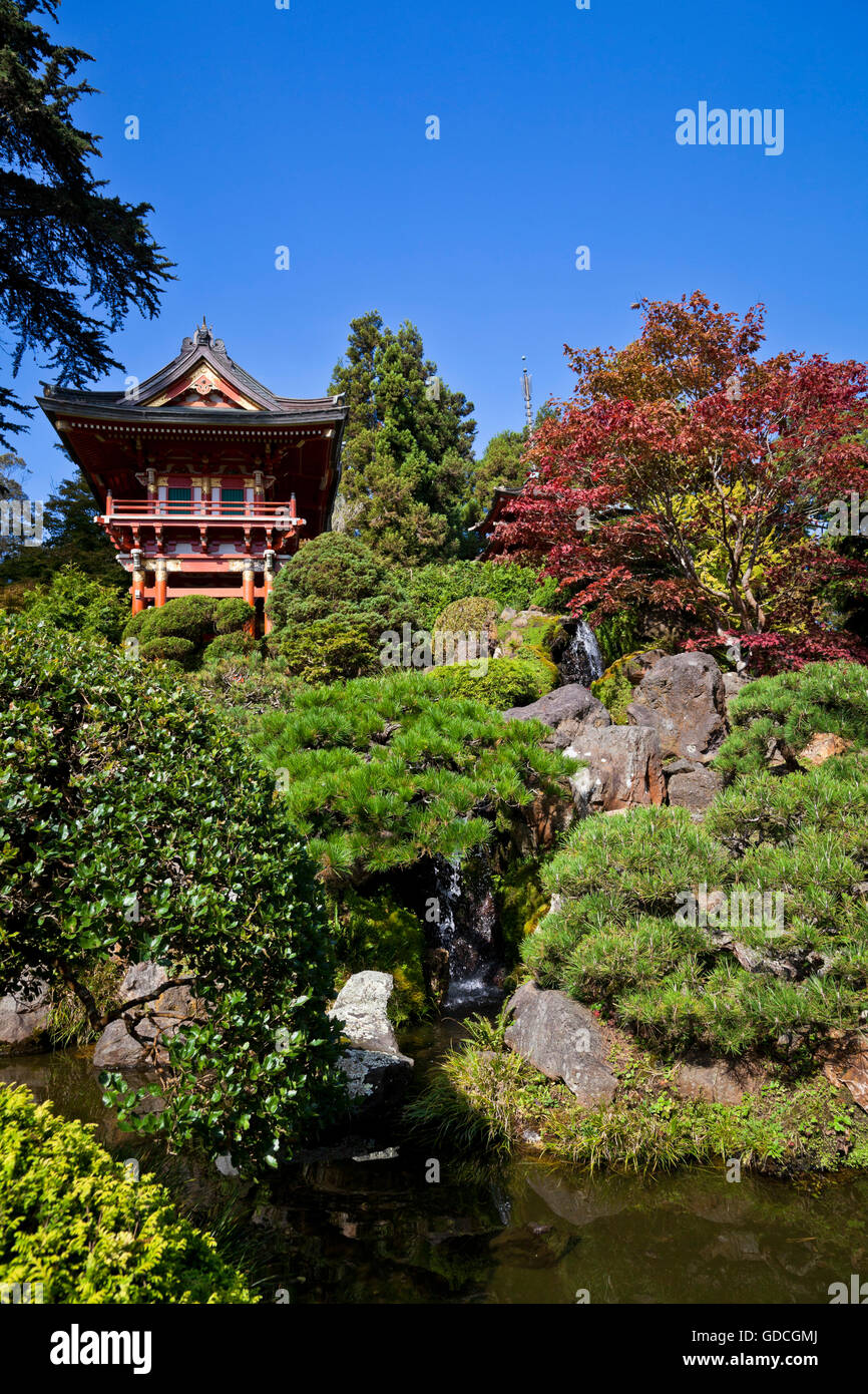 Japanese Tea Garden (San Francisco, California Stock Photo Alamy