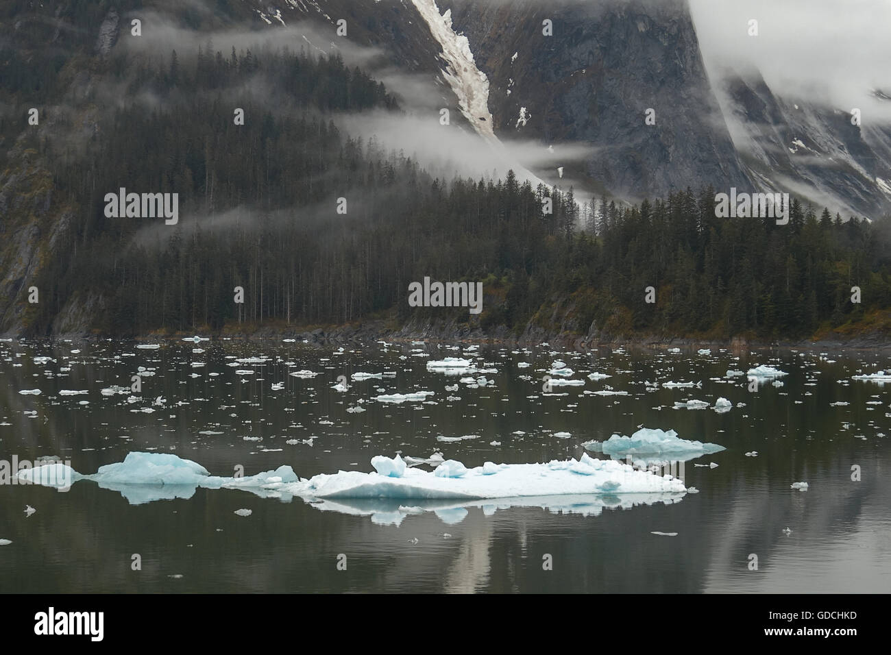 Landscape at Tracy Arm Fjords in Alaska, United States Stock Photo