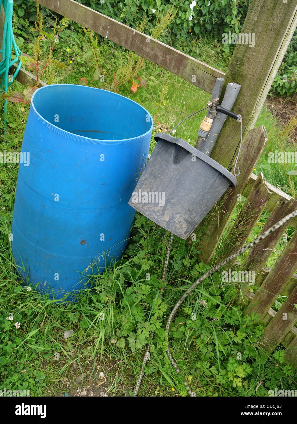 bucket full of water Stock Photo - Alamy