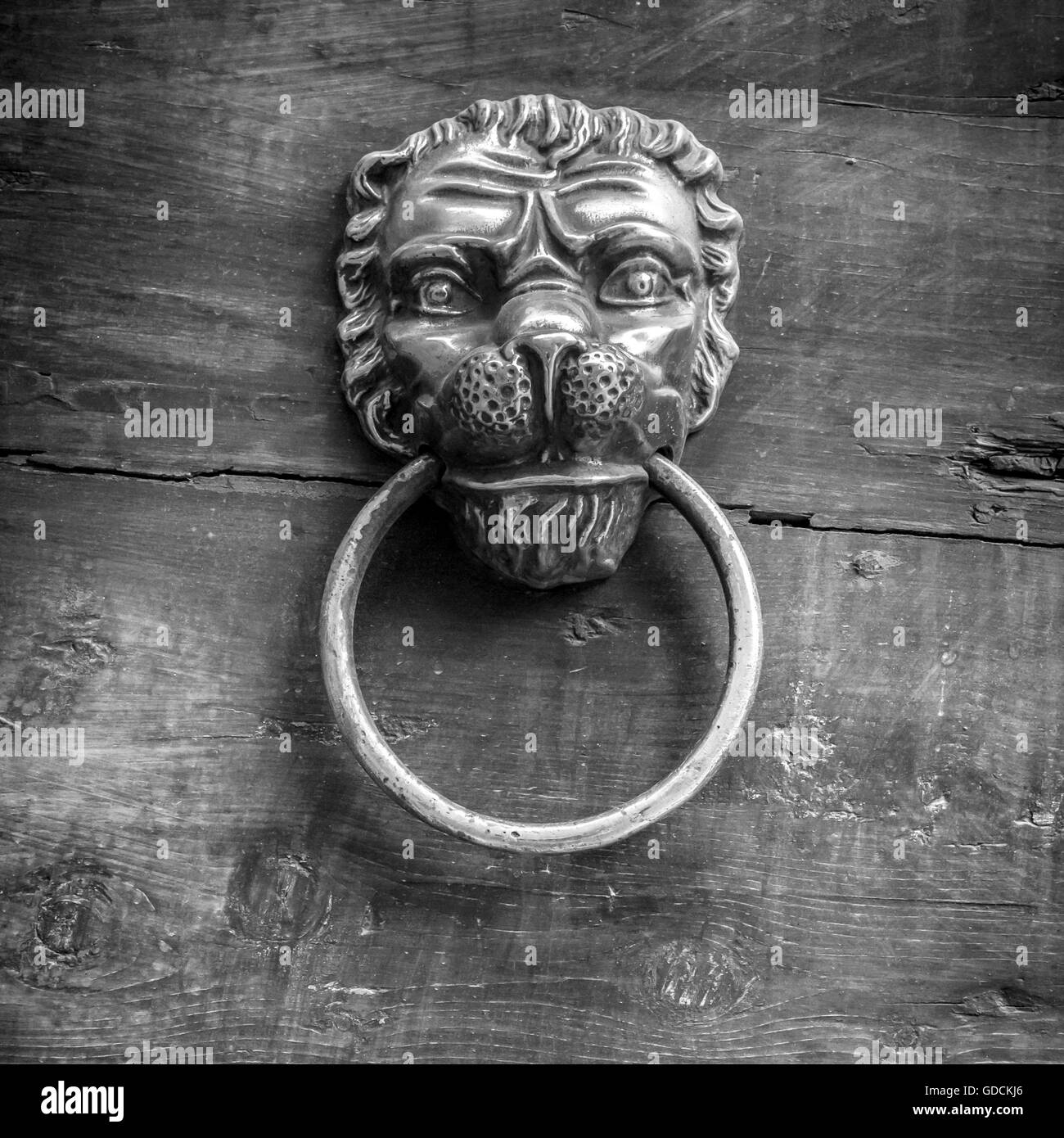 Black and white shot of a classic door knocker in the shape of a lion Stock Photo