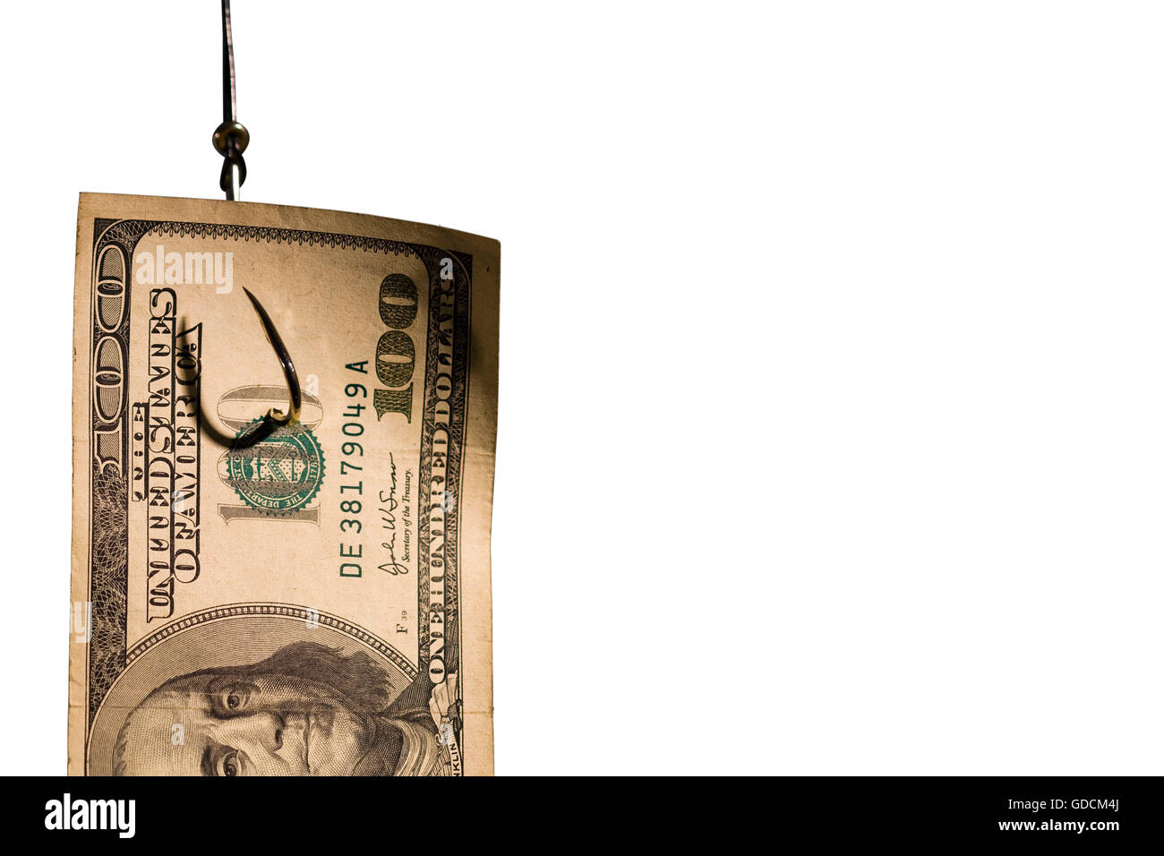 Hook bill hi-res stock photography and images - Alamy Hook bill hi-res stock photography and images - Alamy