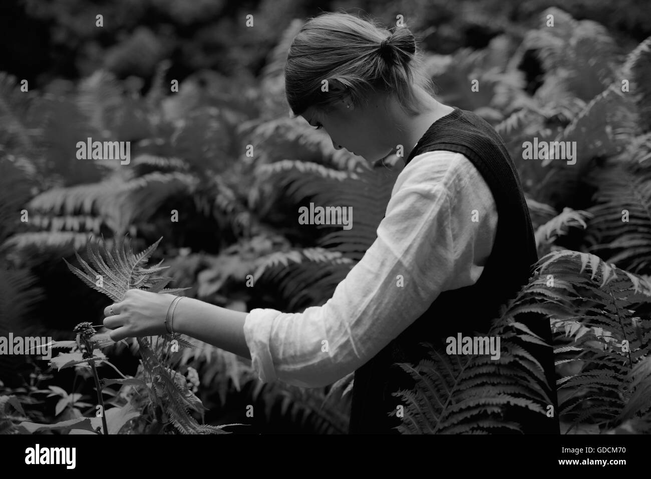 Vithe back of teenage girl walking through forest fern leaves, black and white. Stock Photo