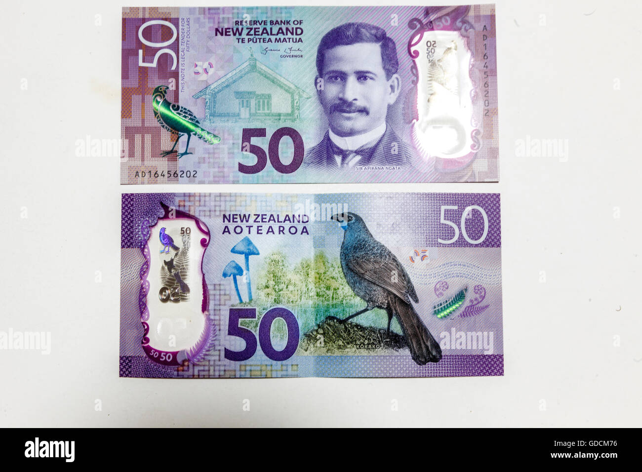Second generation plastic polymer New Zealand magenta $50 fifty kiwi dollar banknotes, reverse side with NZ  bird Stock Photo