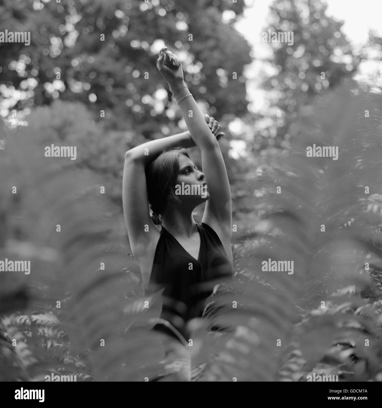 Beautiful woman posing raising hands up among ferns in the woods, black and white. Stock Photo