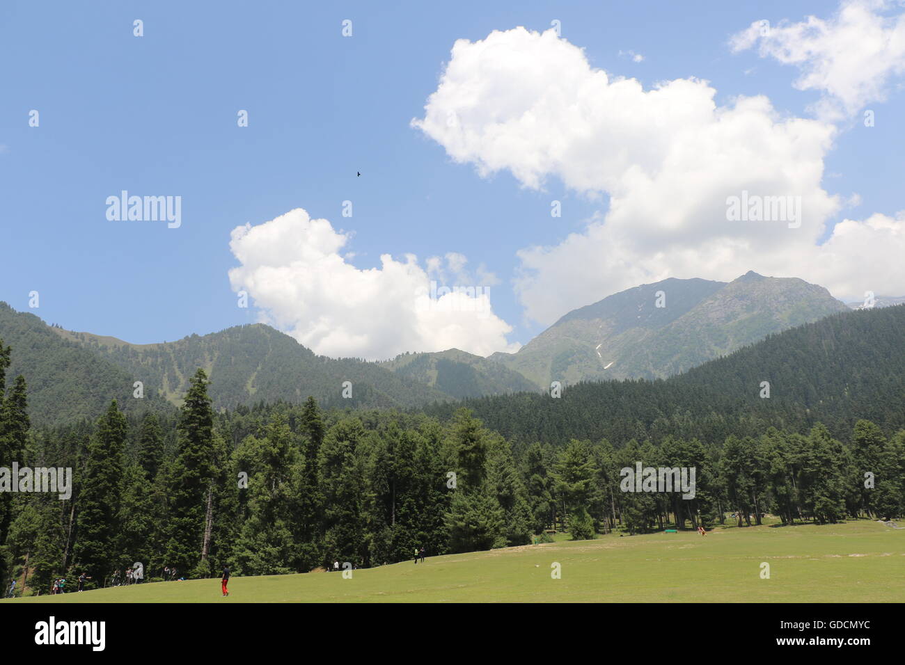 Pahalgam Valley in Jammu & Kashmir Stock Photo