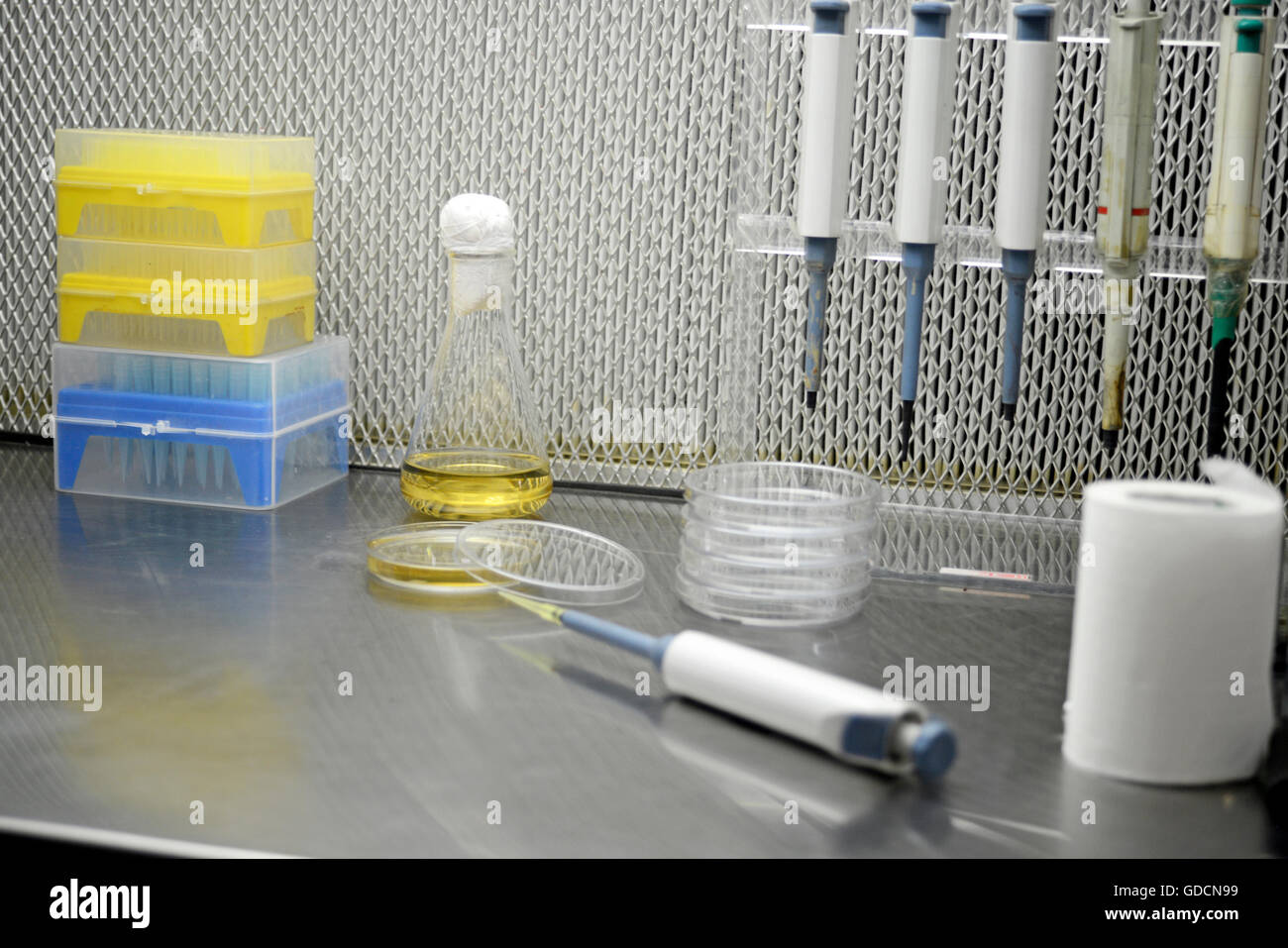 Lab Research procedure Stock Photo - Alamy