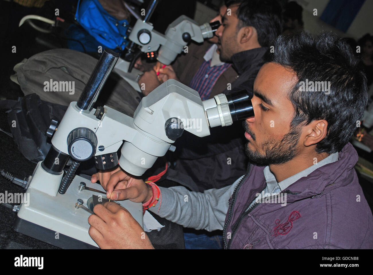 Students observing in the Laboratory Stock Photo
