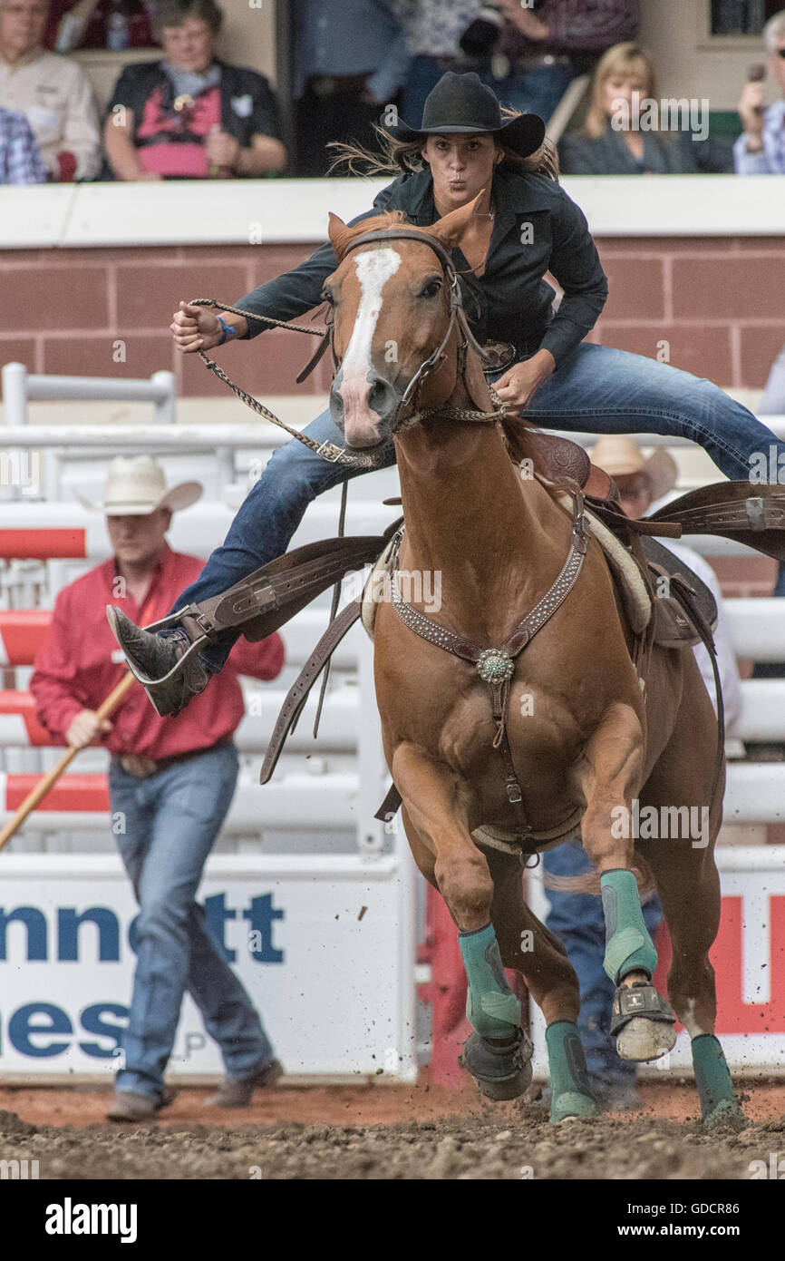 Ladies Barrel Racing at the Calgary Stampede Stock Photo Alamy