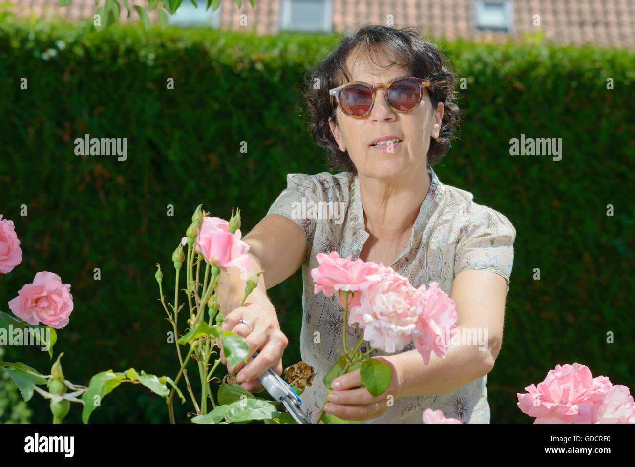 a middle-aged woman with sunglasses in the garden Stock Photo