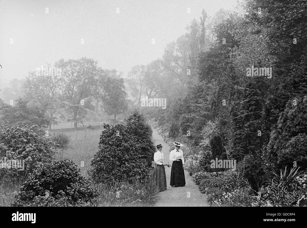 Victorian women in park gardens c1900 Photograph by Tony Henshaw      From original glass negative Stock Photo