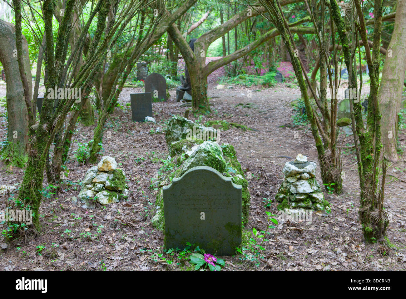 Dogs' cemetery, Portmeirion Gardens, Portmeirion, Gwynedd, North Wales Stock Photo