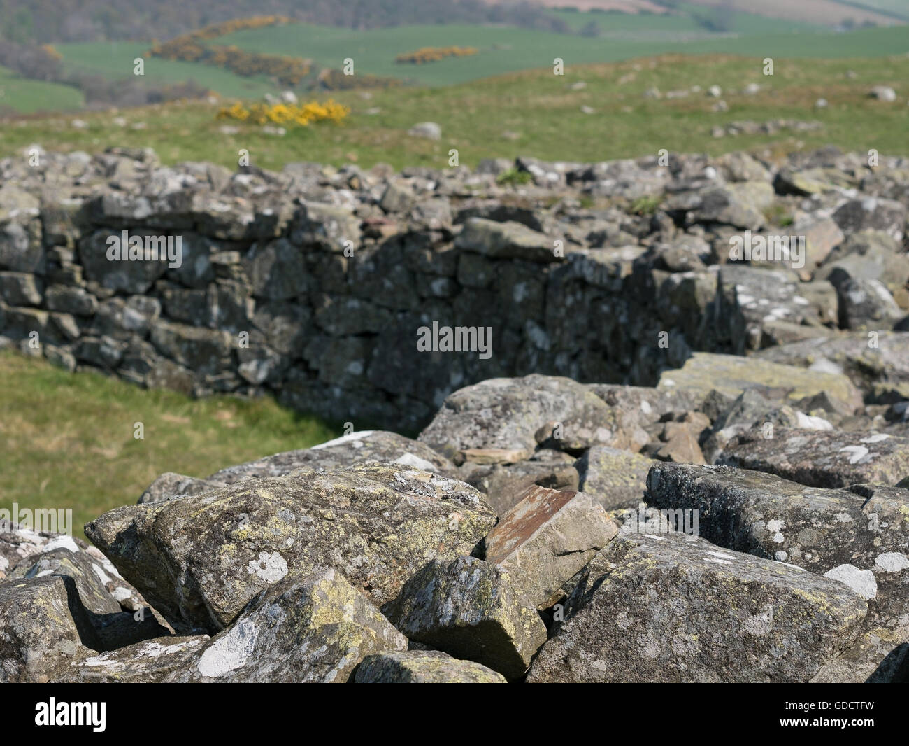 Edin's hall broch hi-res stock photography and images - Alamy