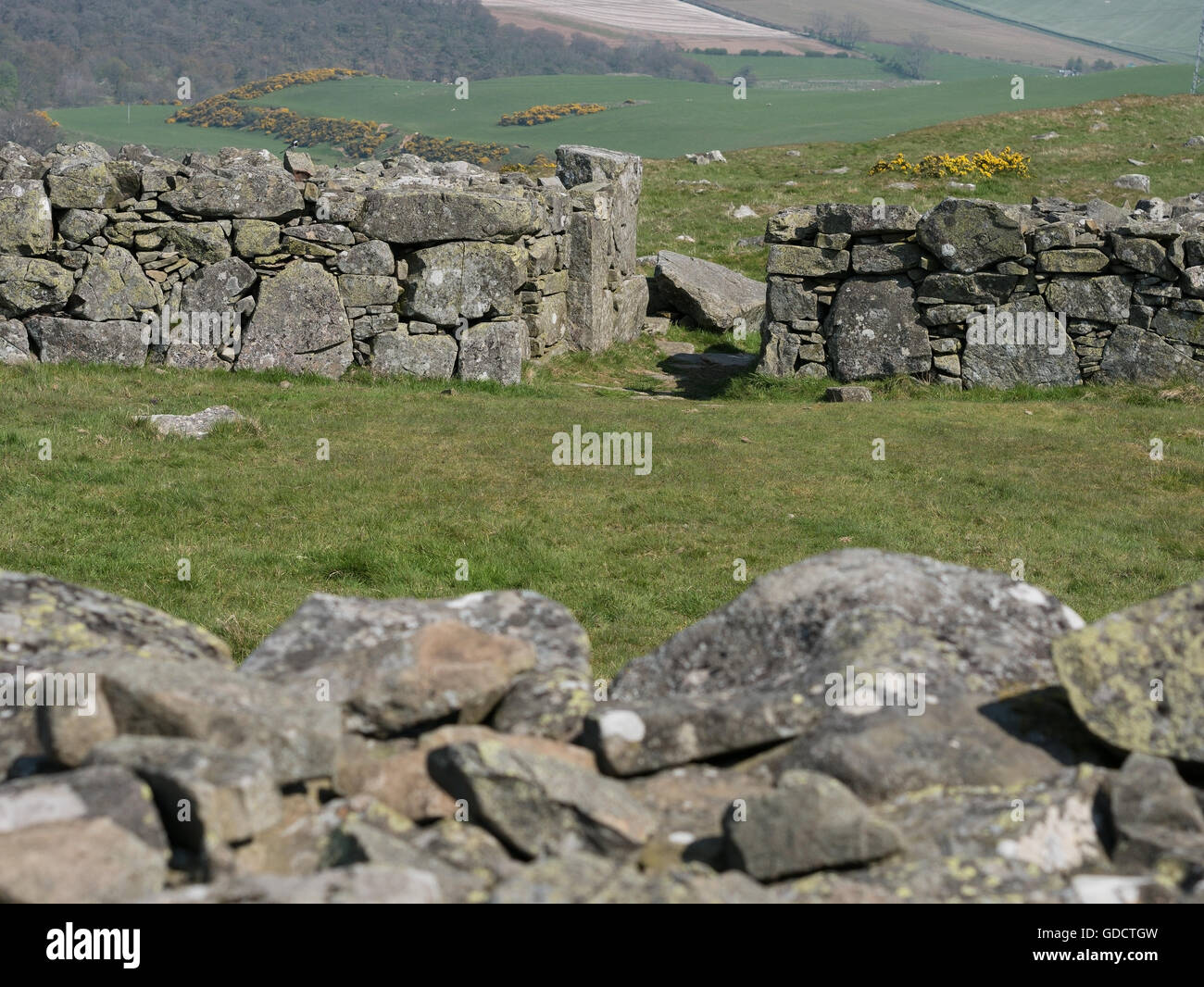 Edin's Hall Broch an iron age fort in the Scottish Borders, Scotland ...