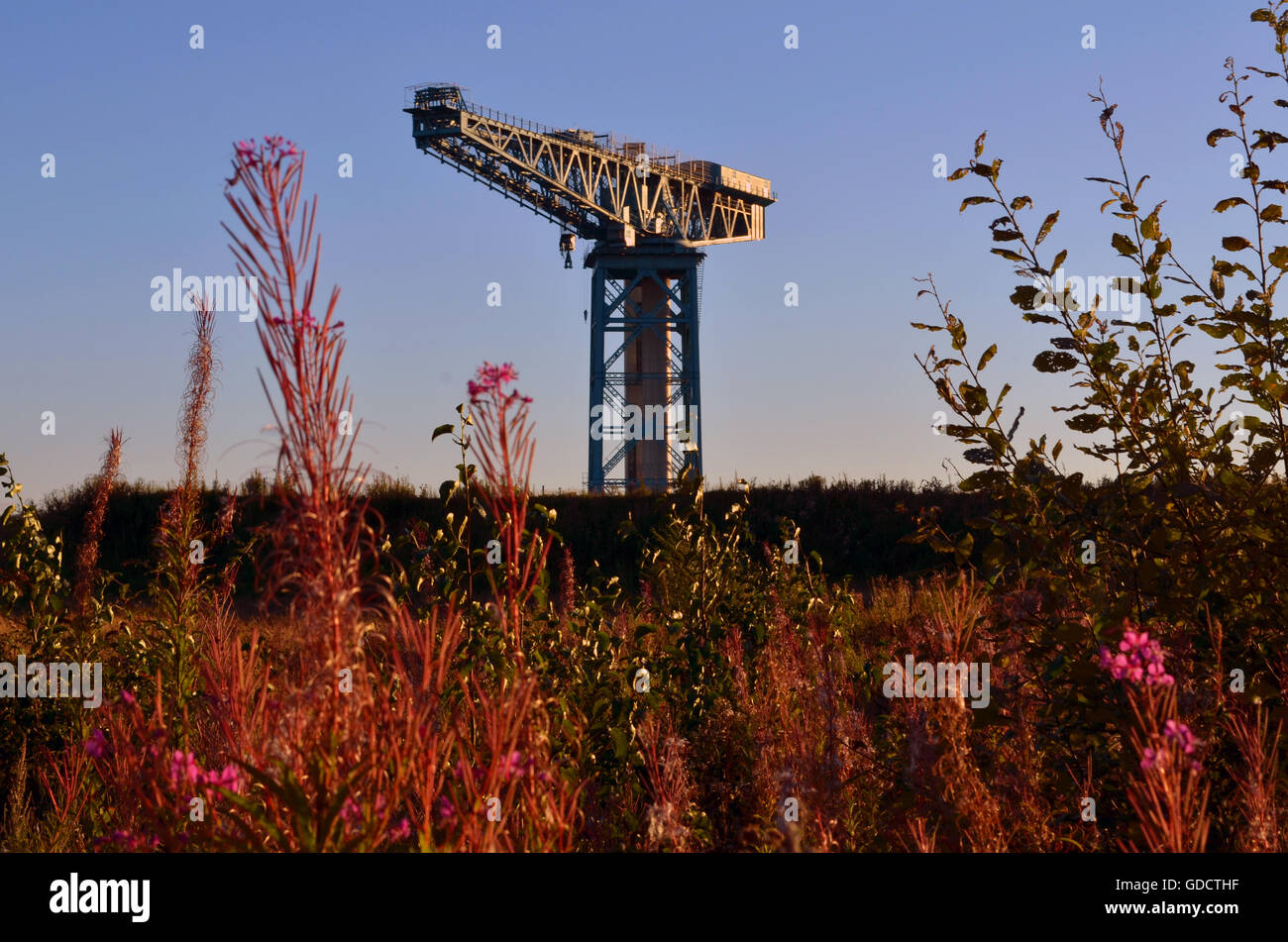 Titan in the Weeds. The Clydebank Titan Crane, all that is left of a once proud shipbuilding industry on the banks of the River Clyde Stock Photo