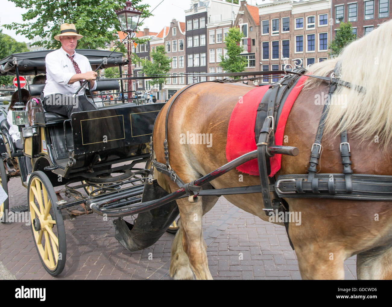 Horse And Carriage Amsterdam Holland Stock Photo Alamy