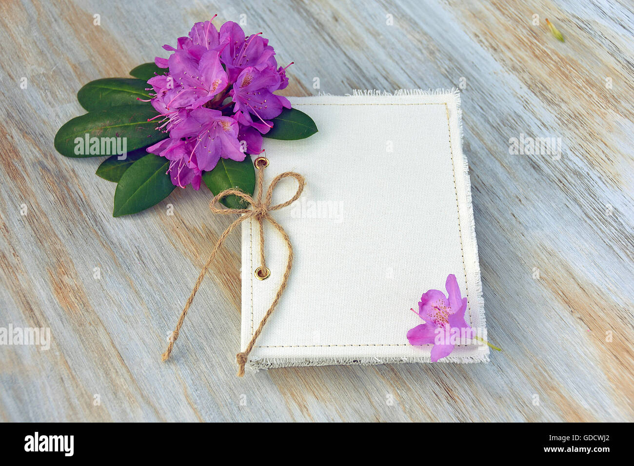 Pink rhododendron blossom and journal with twine bow on wood. Stock Photo