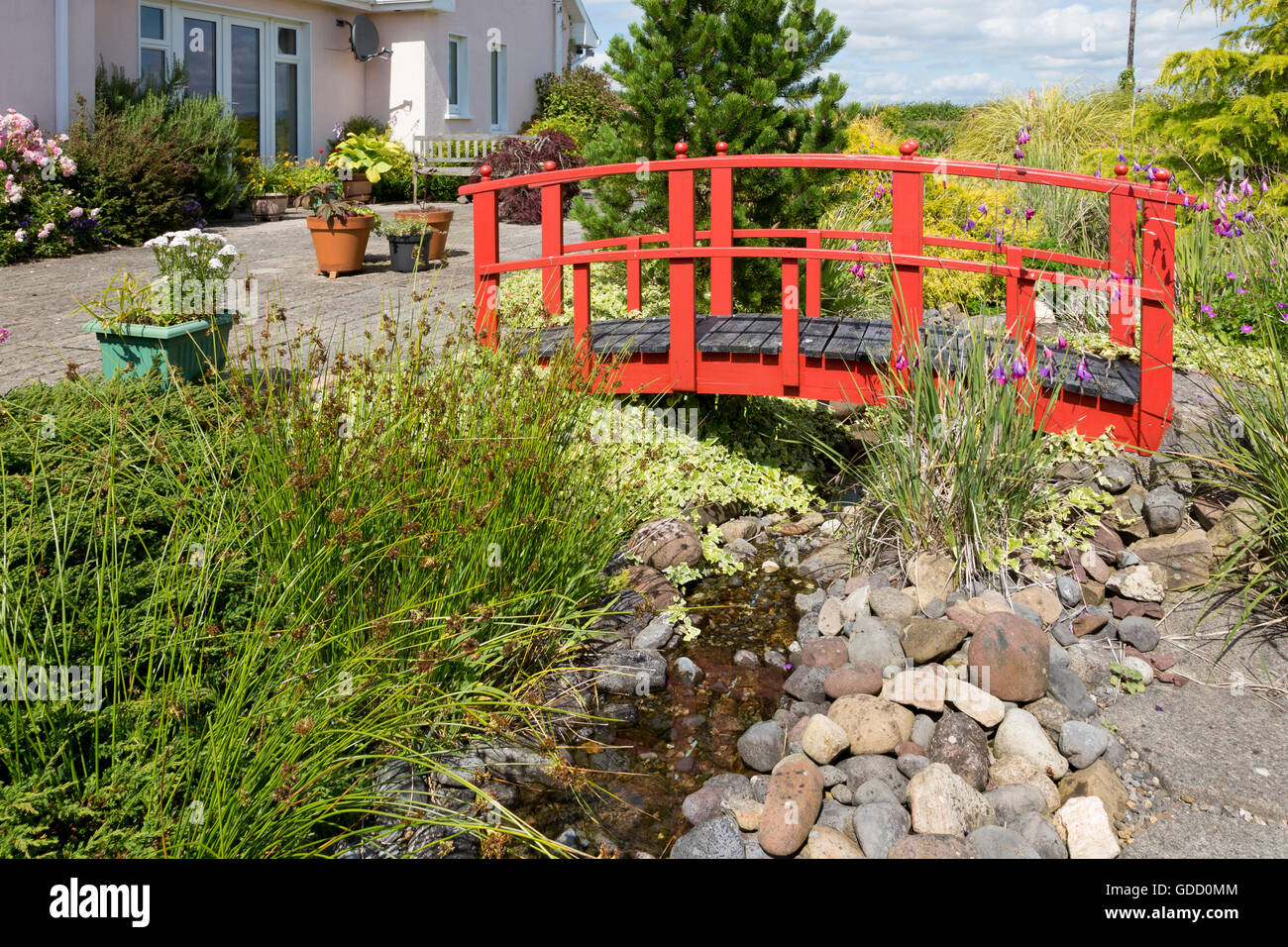 Landscaped and designed cottage garden, County Tipperary, Ireland Stock Photo