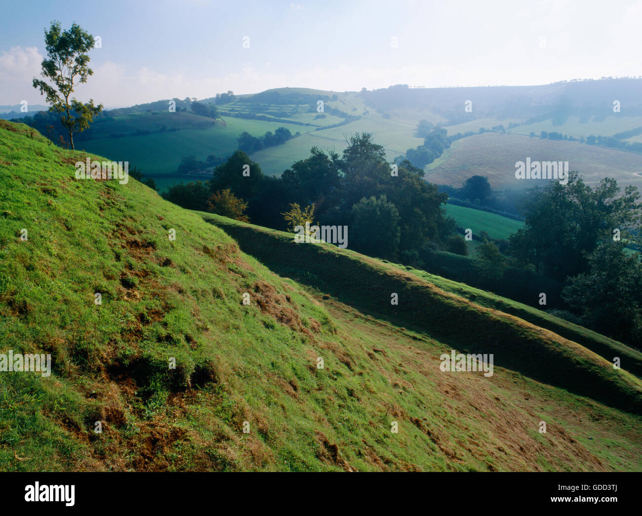 Four lines of Iron Age ramparts on SE of Cadbury Castle hillfort, Somerset. The later, Dark Age phase of fort is associated with King Arthur. Stock Photo