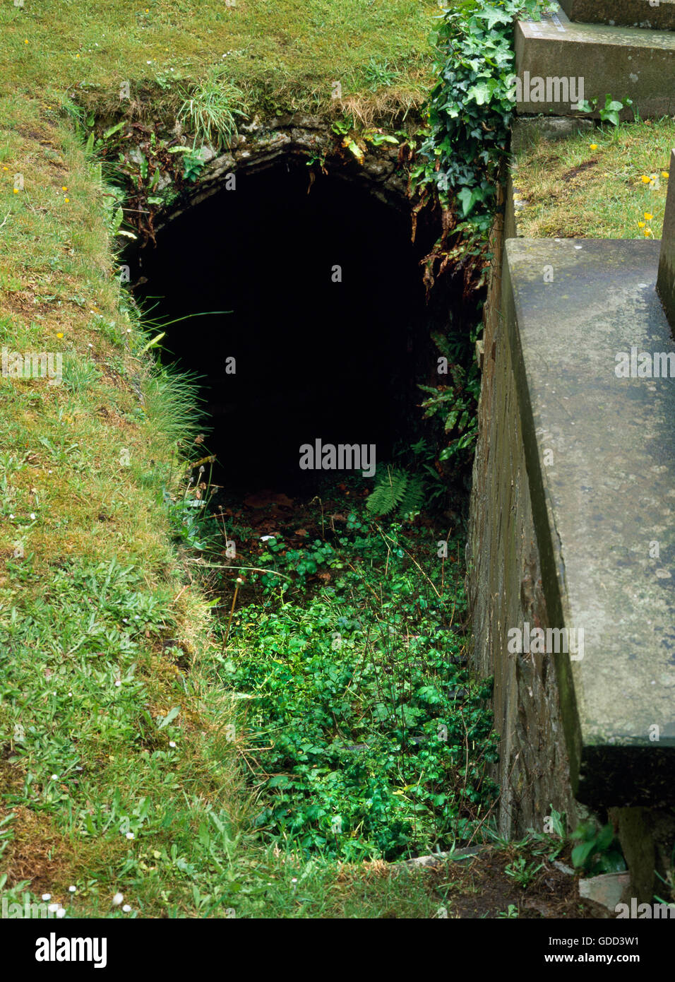 Looking S at the dipping well in the cloister garth of Wells Cathedral
