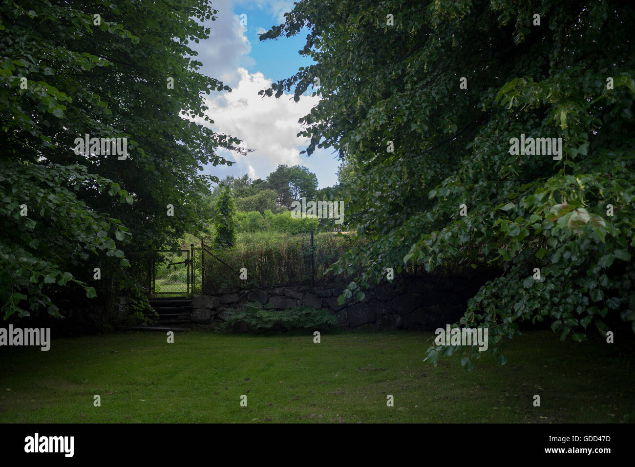 Garden with Linden trees and old stone wall in summer. Stock Photo