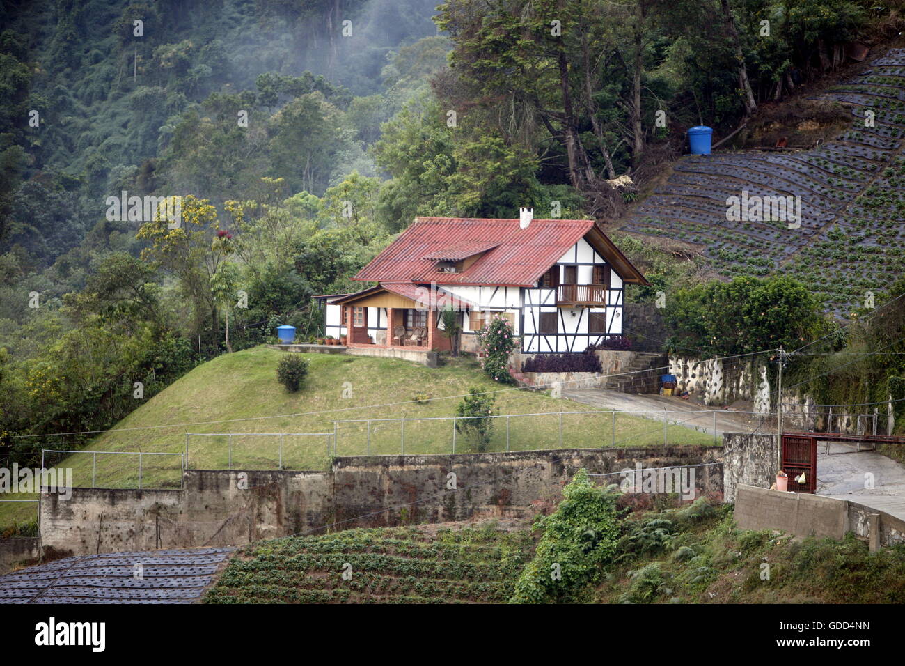 a traditional Black Forest House of the German Colony in the Mountain Village of Colonia Tovar in the north of Venezuela. Stock Photo