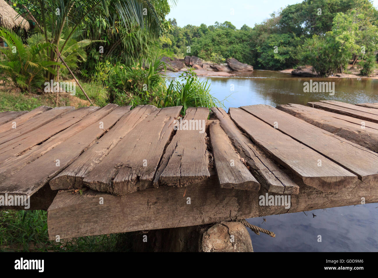 wooden pier closeup , riverside in jungle landscape Stock Photo
