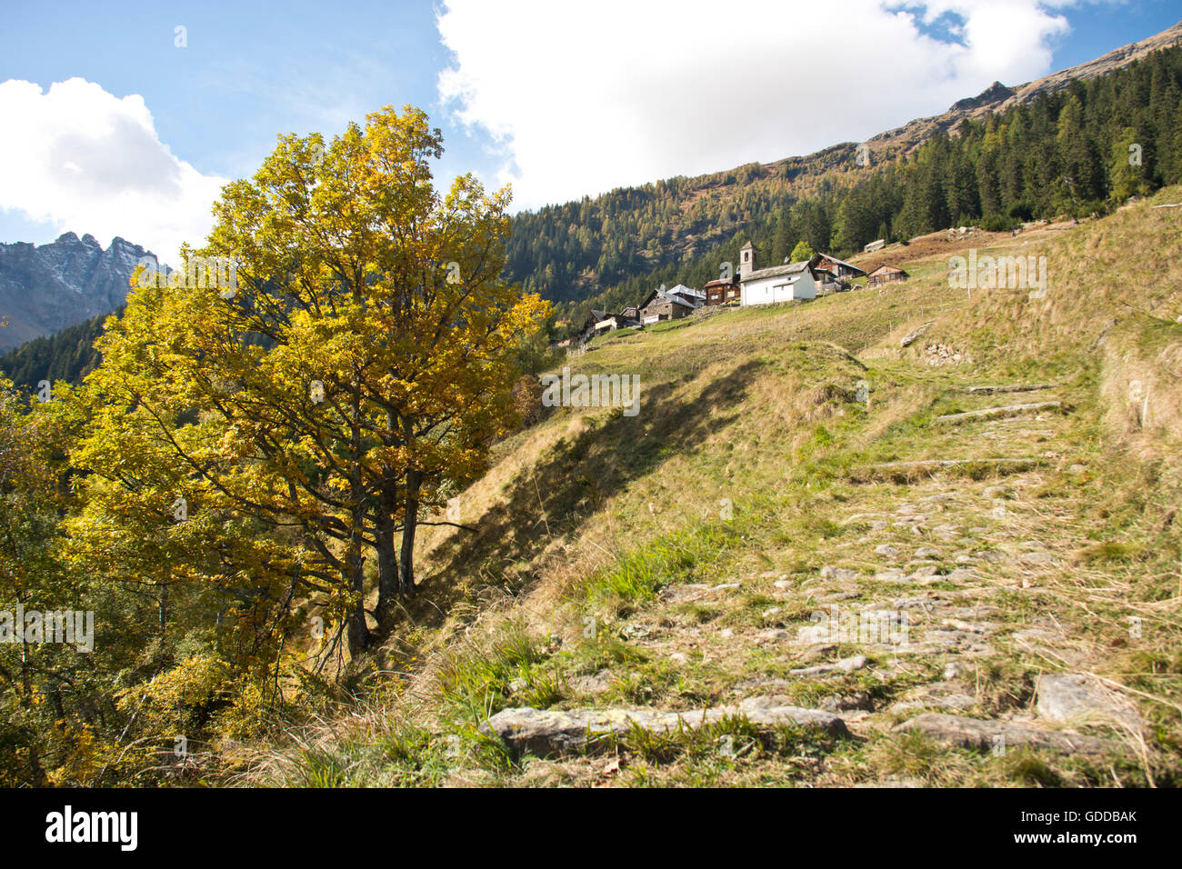 Switzerland,Europe,Ticino,Leventina,Chironico,Cala,hamlet,footpath,autumn Stock Photo