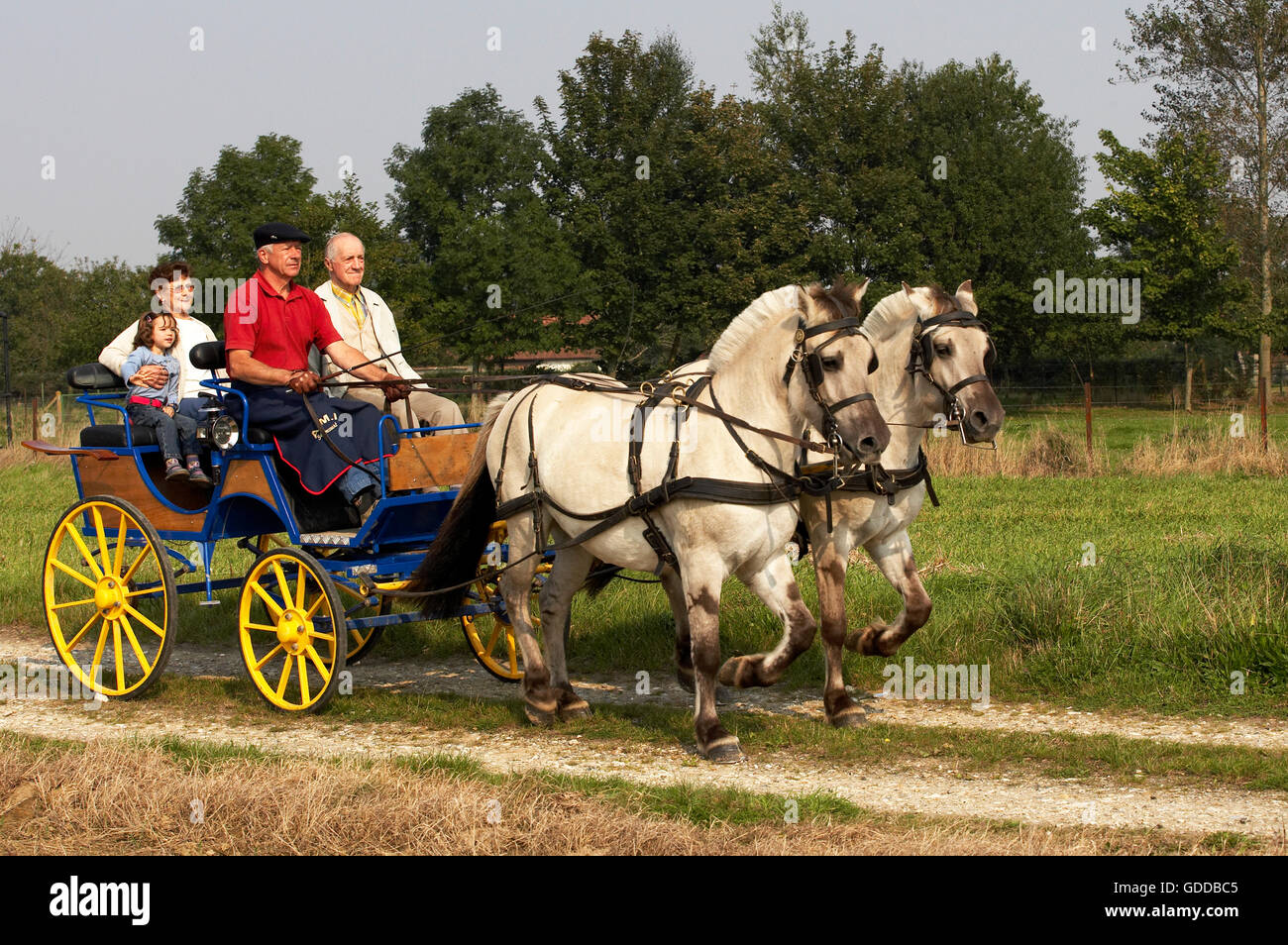 Two women in horse carriage hires stock photography and images Alamy