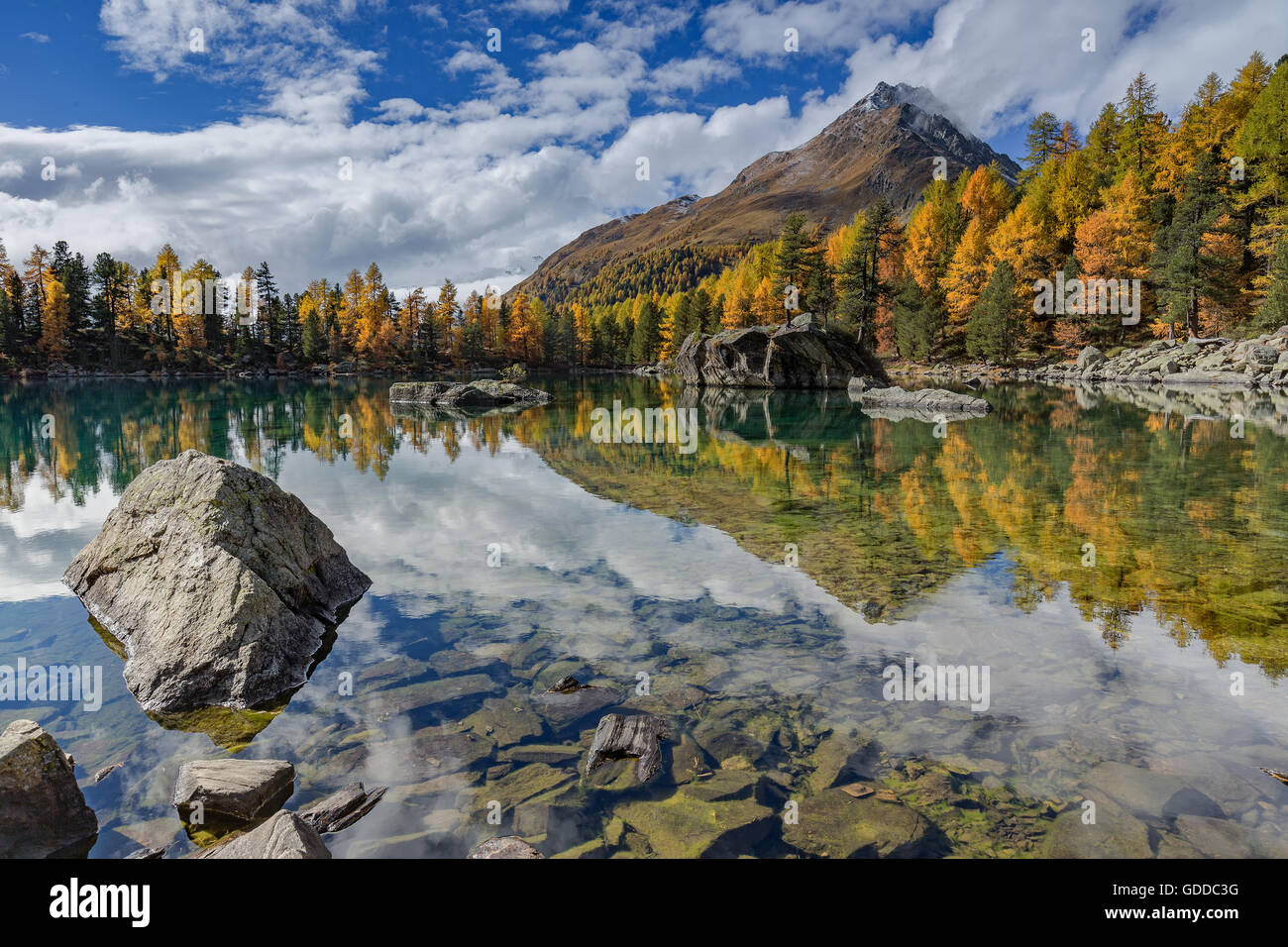 Nature,Landscape,Mountain,Lake,Mountain lake,Autumn,Snow,Saoseosee,Graubünden,Grisons,Switzerland,Alps,Tree,Trees, Stock Photo