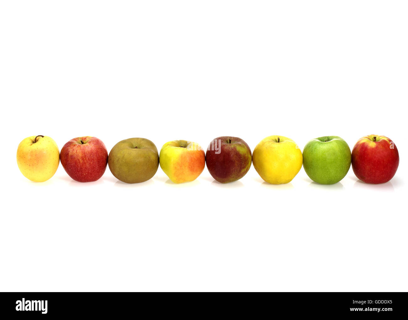 Royal gala and starling Cut Out Stock Images & Pictures Alamy