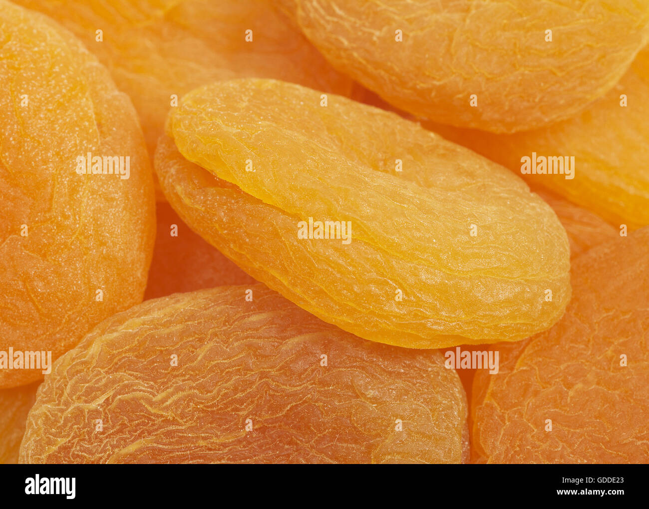 Dryed Apricots, prunus armeniaca Stock Photo