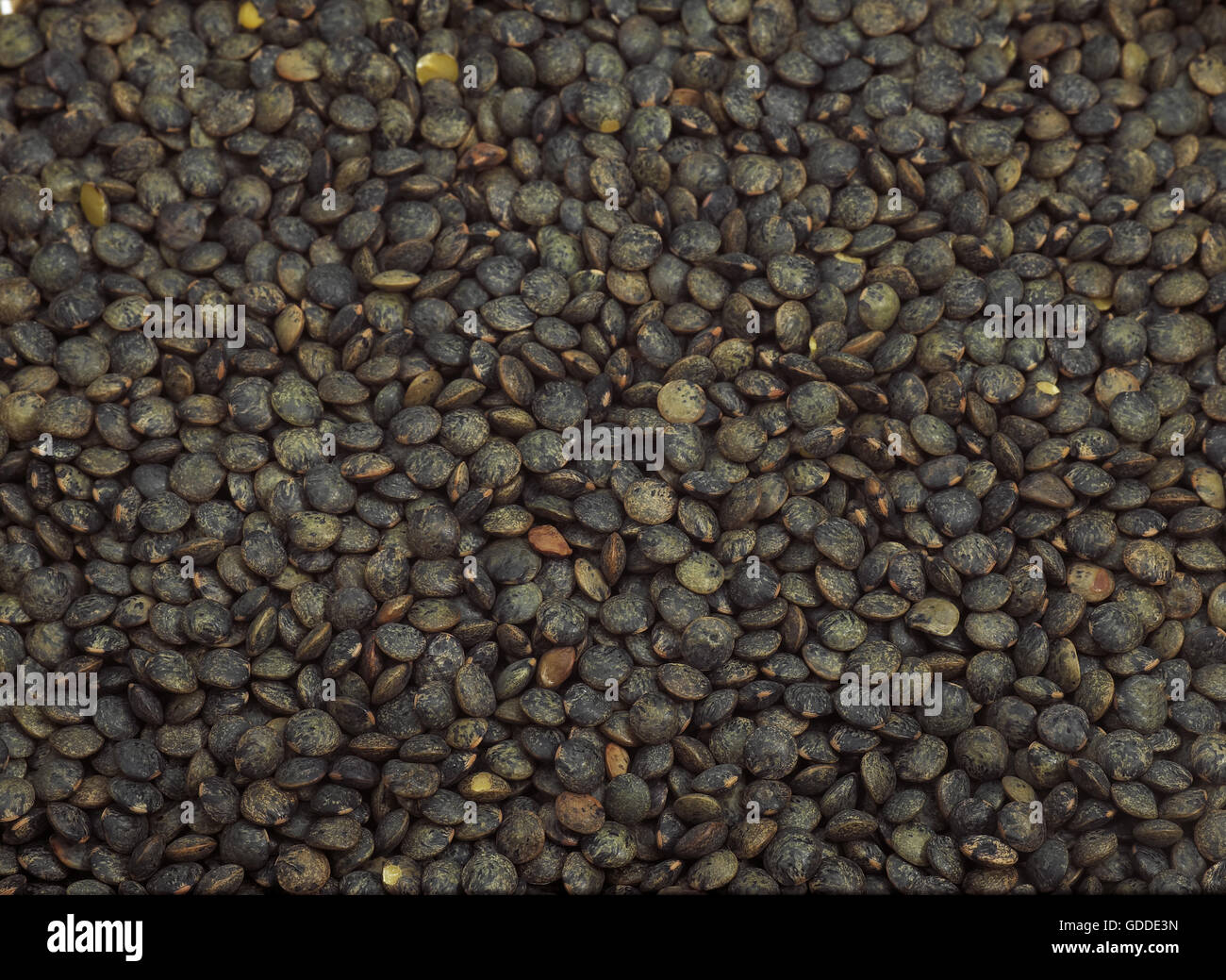 Puy lentils hi-res stock photography and images - Page 3 - Alamy
