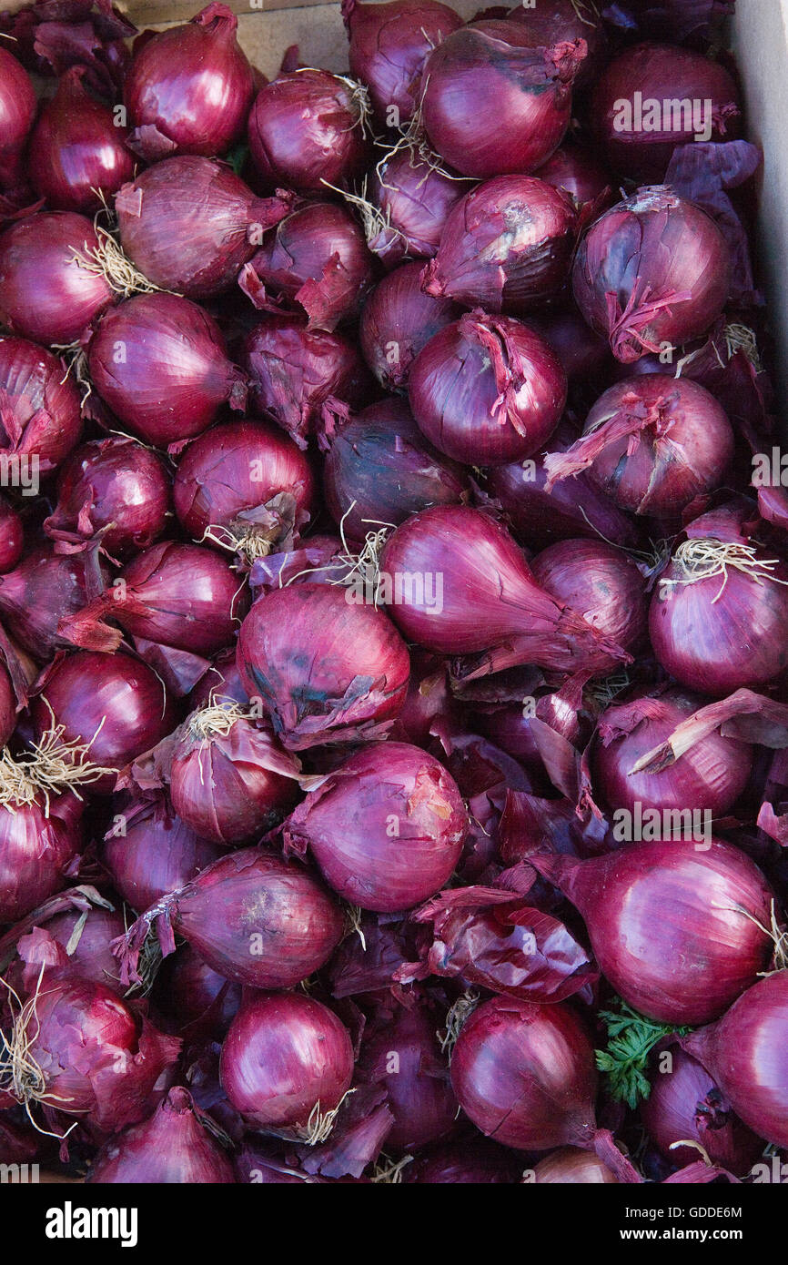 Red Onions, allium cepa at Vegetable Market Stock Photo