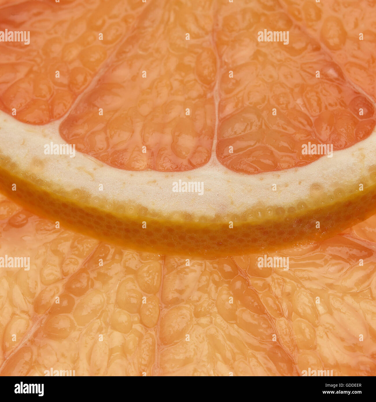 Citrus hires stock photography and images Alamy