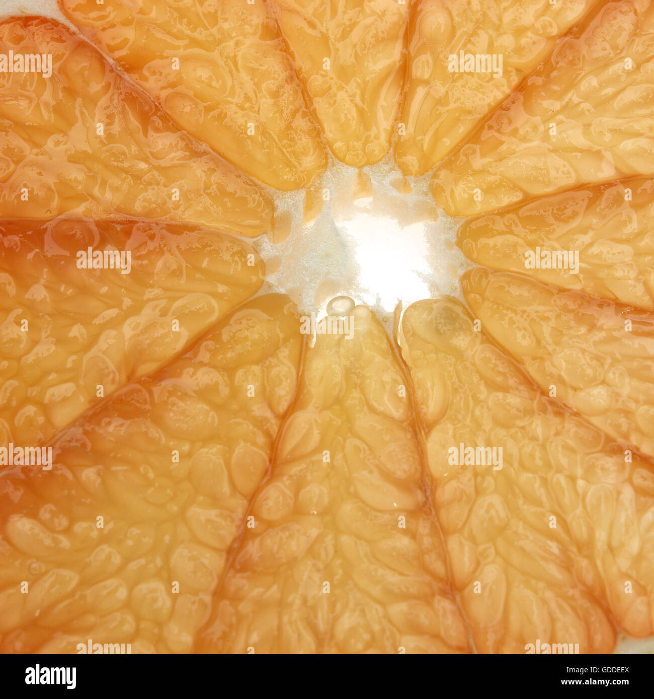 Grapefruit, citrus grandis Stock Photo