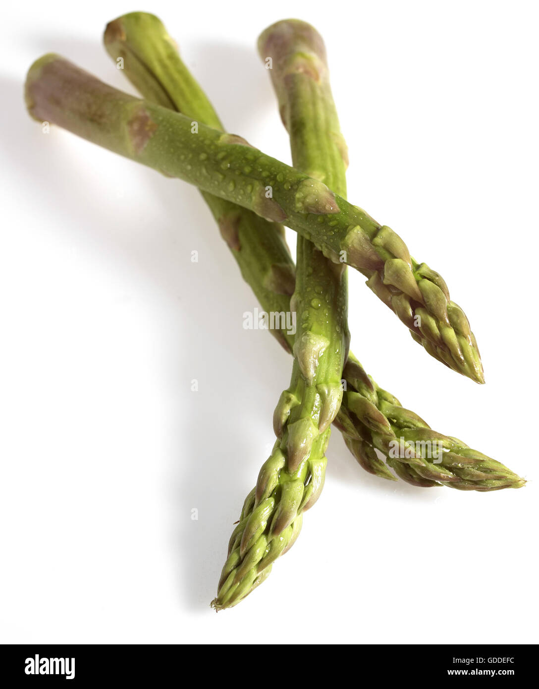 Green Asparagus, asparagus officinalis, Vegetables against White Background Stock Photo
