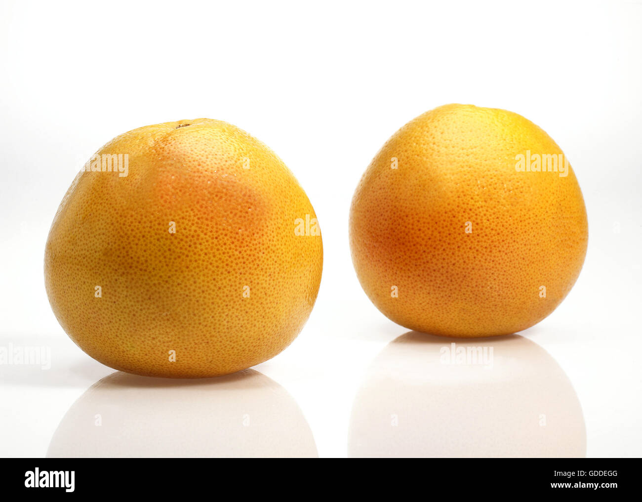 Pomelo, citrus paradisi, Fruits against White Background Stock Photo