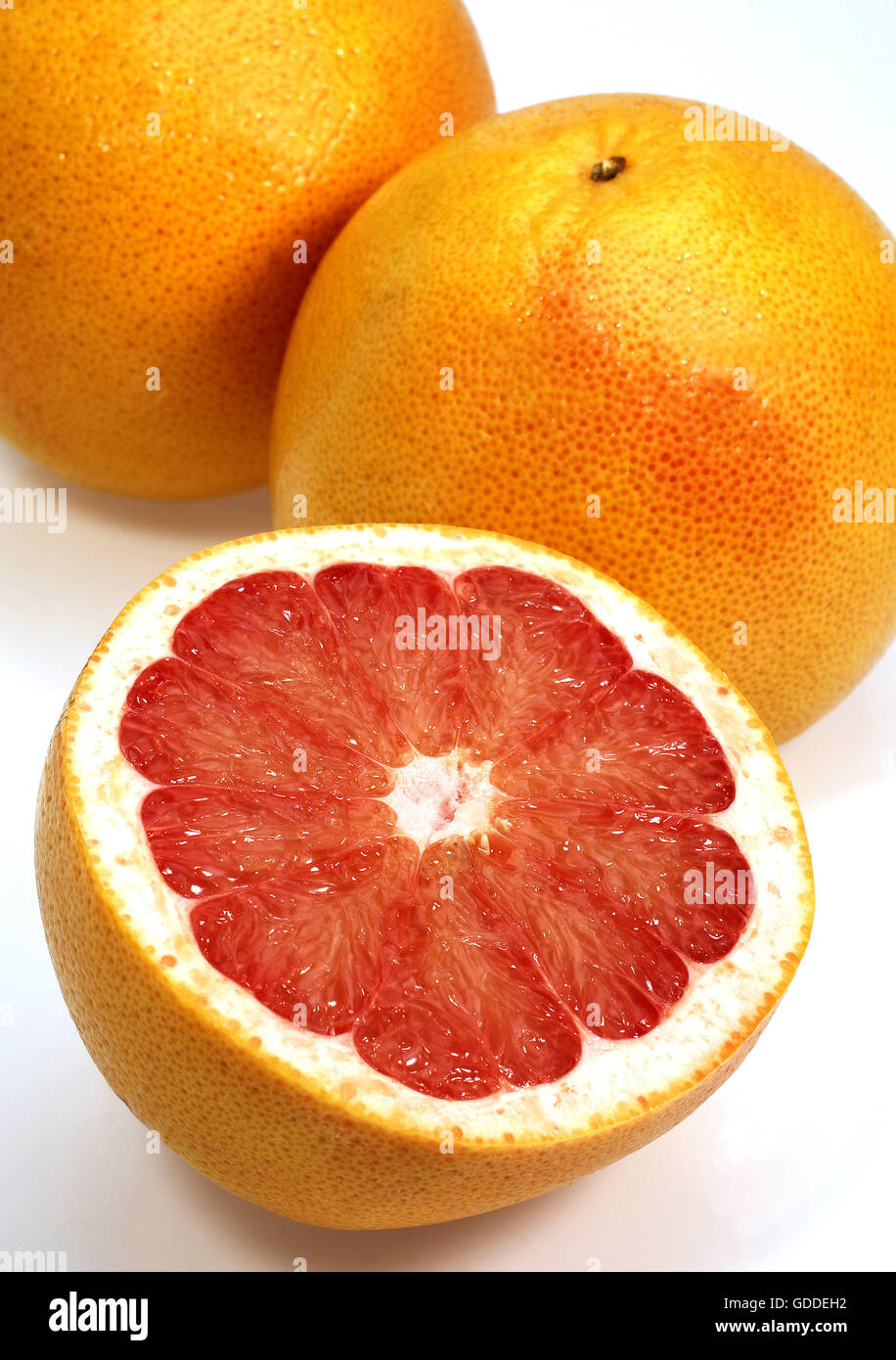 Pomelo, citrus paradisi, Fruits against White Background Stock Photo