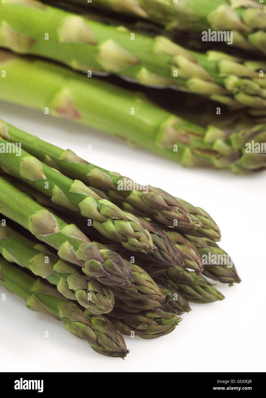 Green Asparagus, asparagus officinalis, Vegetables against White Background Stock Photo