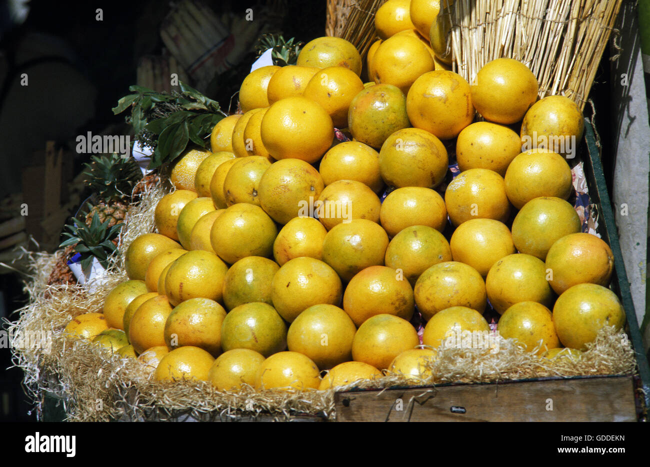 Grapefruits, citrus grandis at Fruit Market Stock Photo