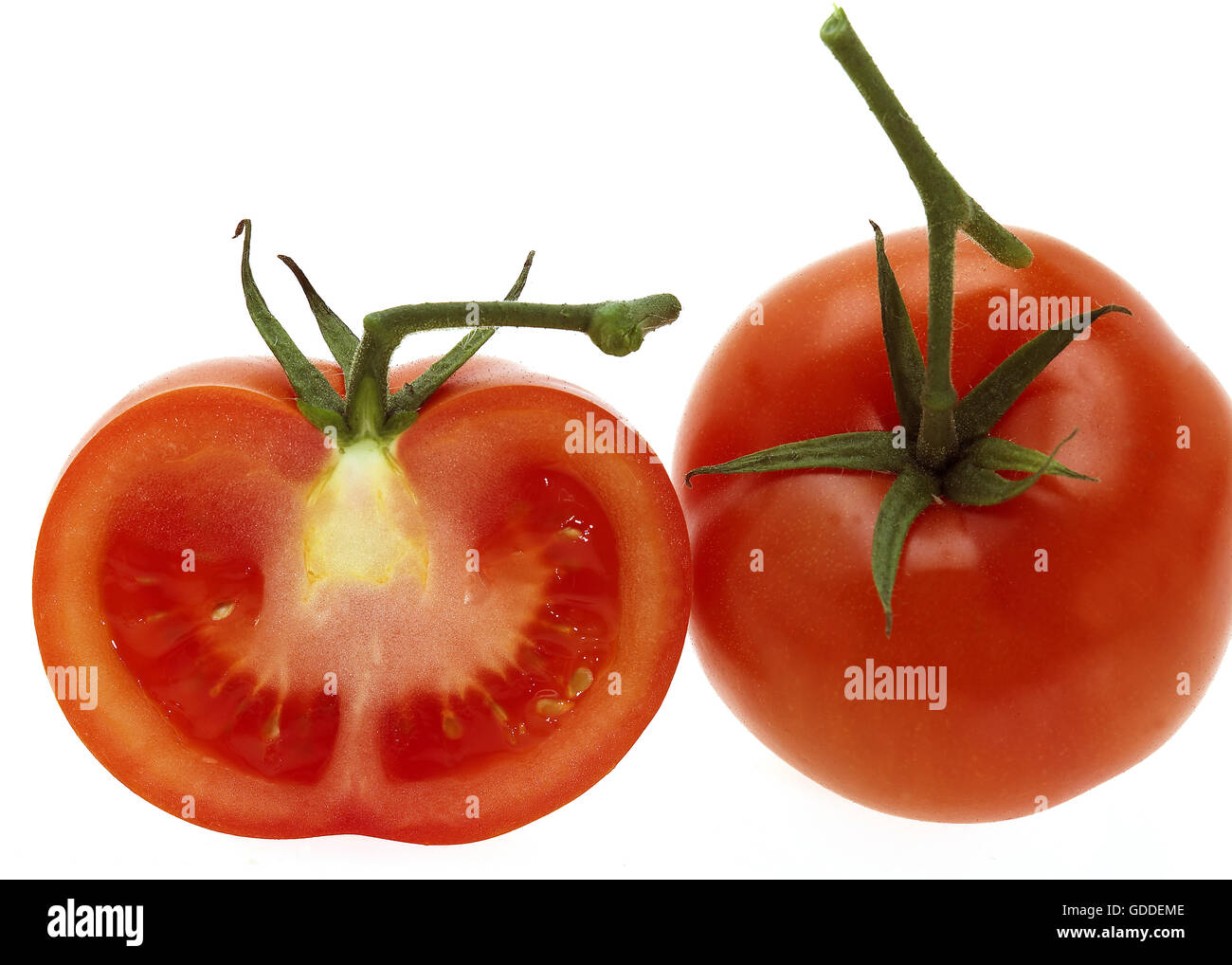 Red Tomato, solanum lycopersicum, Vegetables against White Background Stock Photo